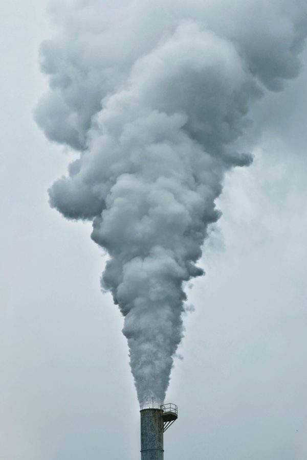 GHG AUDIT & CARBON ACCOUNTING